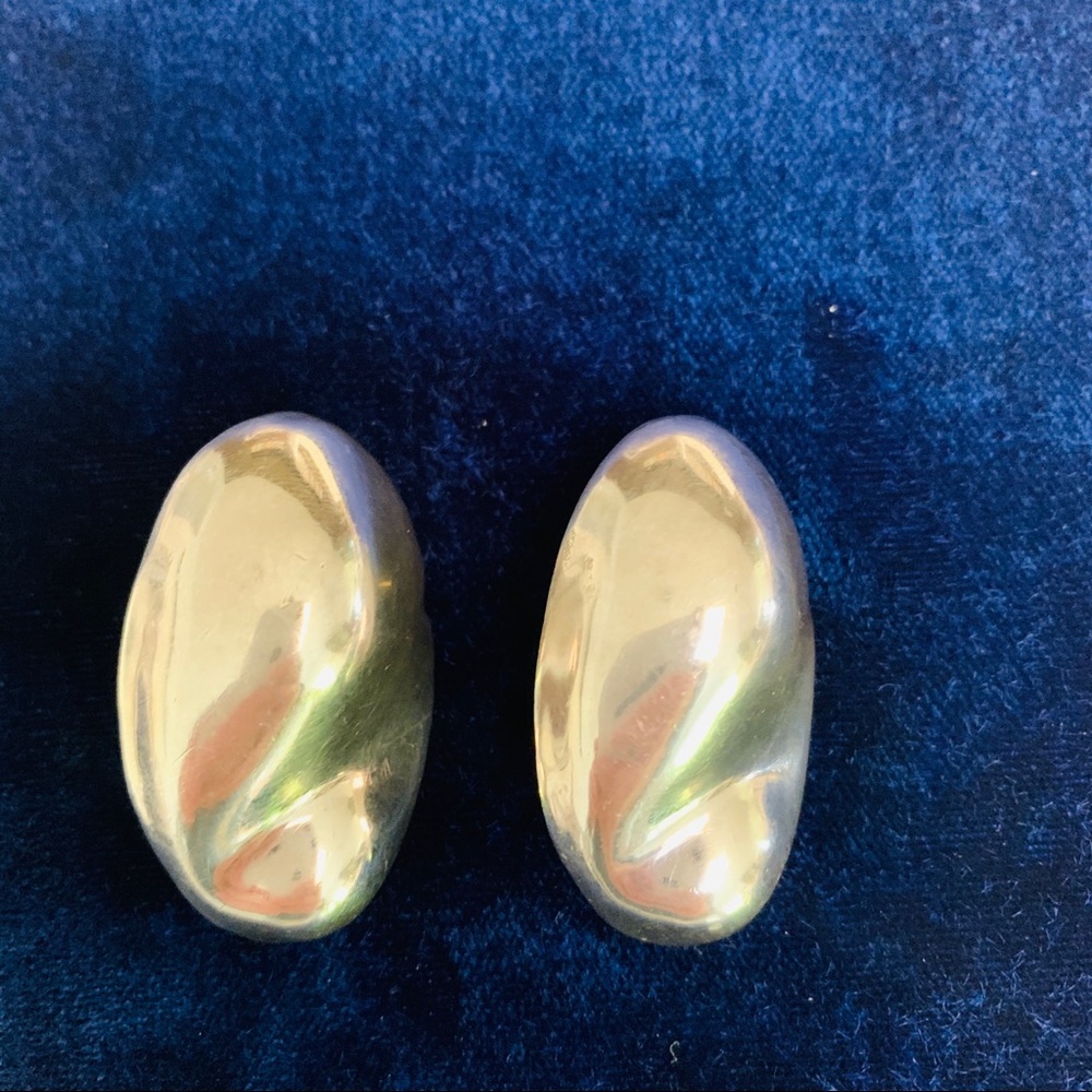 Sterling Silver Organic Shape Earrings